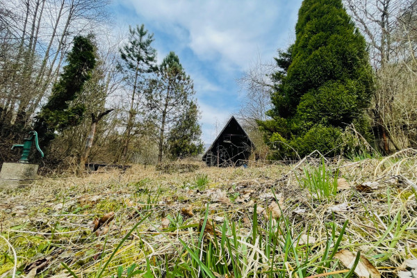 NA PREDAJ: Rozľahlá záhrada s drevenou chatou v nádhernom prostredí Lodiny, neďaleko Ružína