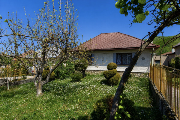 🌳 PREDAJ: Rodinný dom s veľkorysým pozemkom (1846 m²) v obci Skároš