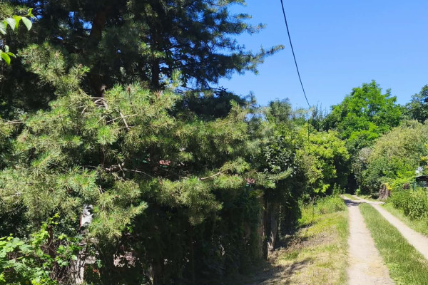 🌳 Na predaj pozemok s chatkou vo Vyšnom Opátskom