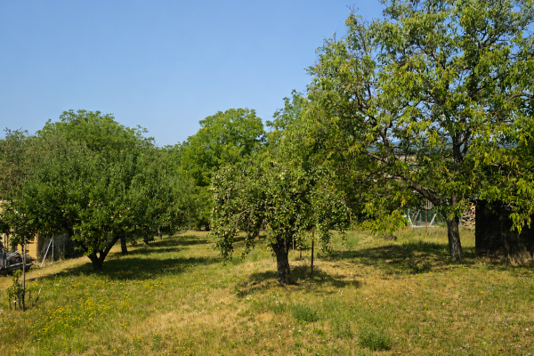🥇 Rovinatý pozemok 959 m² | Poproč pri Košiciach