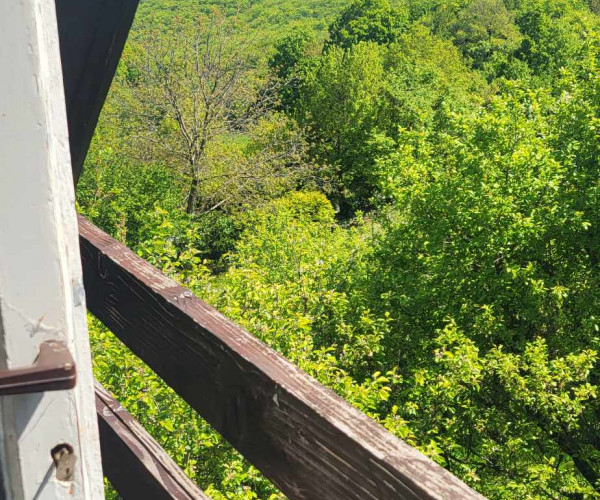 Kavečany - Záhradná chata na predaj