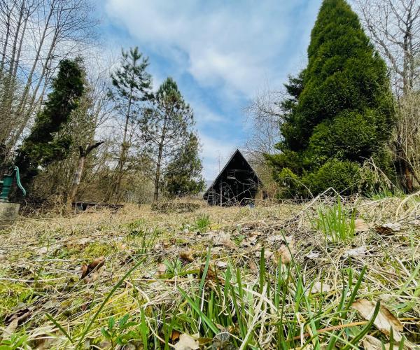 NA PREDAJ: Rozľahlá záhrada s drevenou chatou v nádhernom prostredí Lodiny, neďaleko Ružína