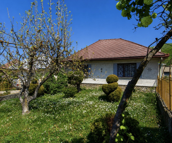 🌳 PREDAJ: Rodinný dom s veľkorysým pozemkom (1846 m²) v obci Skároš