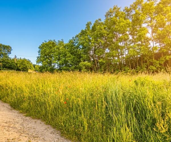 Stavebný pozemok na predaj – Ruská Nová Ves