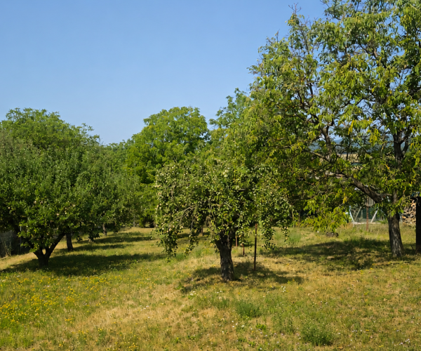 🥇 Rovinatý pozemok 959 m² | Poproč pri Košiciach