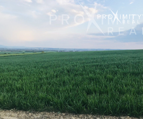 Krásna veľká slnečná záhrada Košice - Šaca