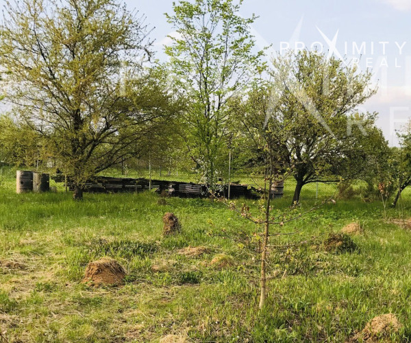 Krásna veľká slnečná záhrada Košice - Šaca