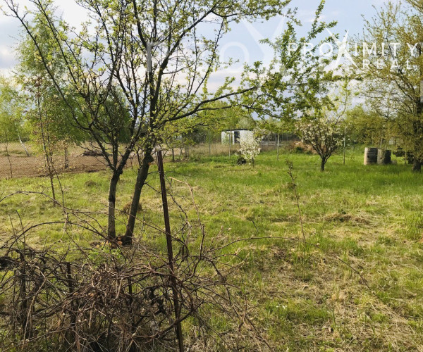 Krásna veľká slnečná záhrada Košice - Šaca