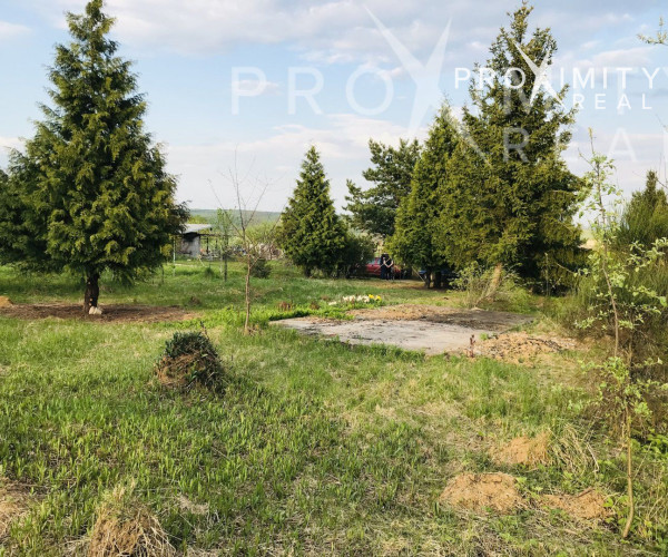 Krásna veľká slnečná záhrada Košice - Šaca