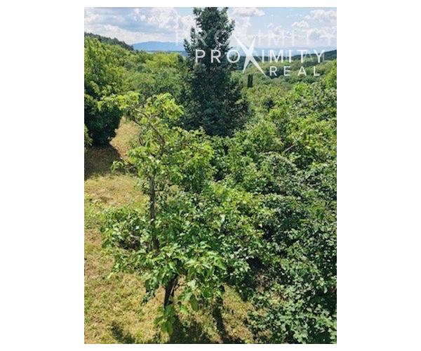 Lukratívna lokalita Suchá dolina-Kavečany, záhrada o výmere 411 m2