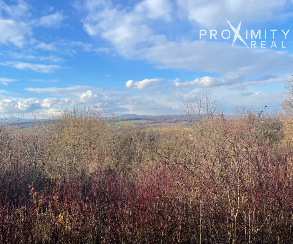 Predaj záhrady  – Raj pre milovníkov prírody blízko Košíc - Byster