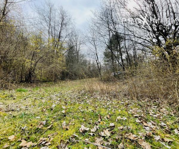 NA PREDAJ: Rozľahlá záhrada s drevenou chatou v nádhernom prostredí Lodiny, neďaleko Ružína