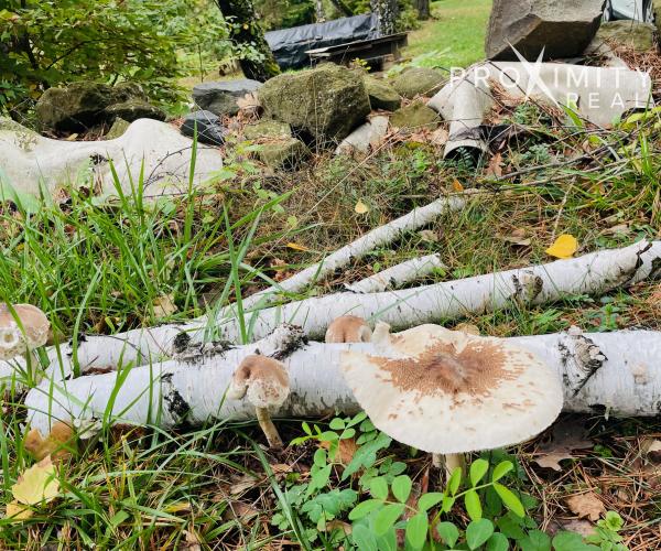 Chata v nádhernom prostredí obklopená prírodou, 55 m²- Vyšná Kamenica