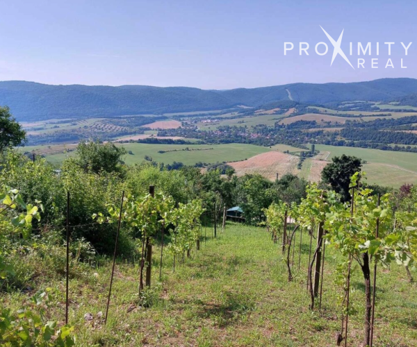 Predaj: Vinica s pozemkom 2 646m² – Hrušov, úpätie Silickej planiny