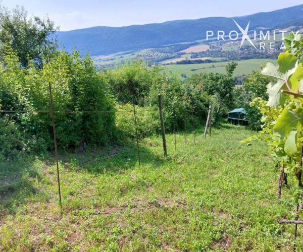 Predaj: Vinica s pozemkom 2 646m² – Hrušov, úpätie Silickej planiny