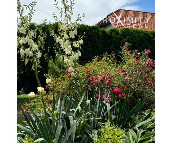 Útulný rodinný dom v obci Nižná Myšľa