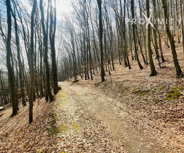 NÁDHERNÁ CHATA V SRDCI PRÍRODY – BUKOVEC, KOŠICE