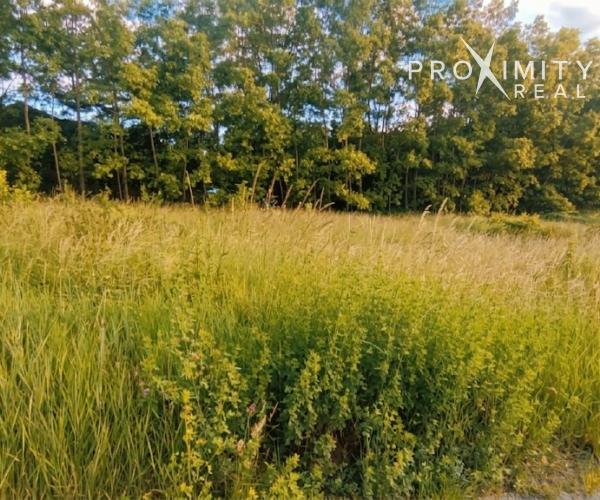 Stavebné pozemky na predaj – Ruská Nová Ves