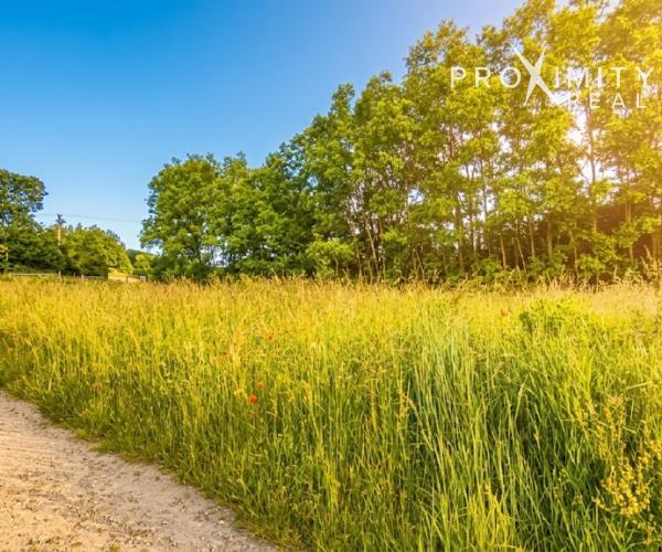 Stavebné pozemky na predaj – Ruská Nová Ves