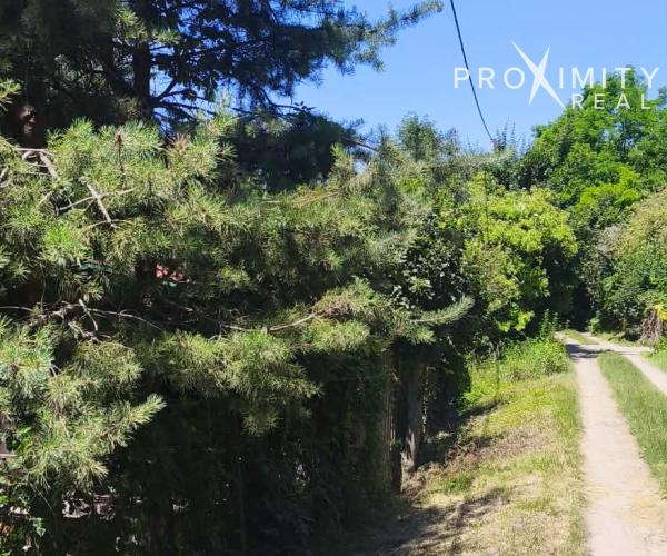 🌳 Na predaj pozemok s chatkou vo Vyšnom Opátskom