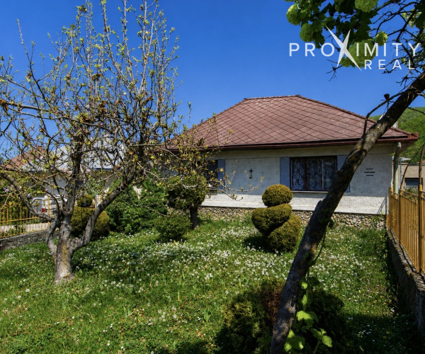 Rodinný dom s pozemkom 1 846 m² a skvelým potenciálom - Skároš