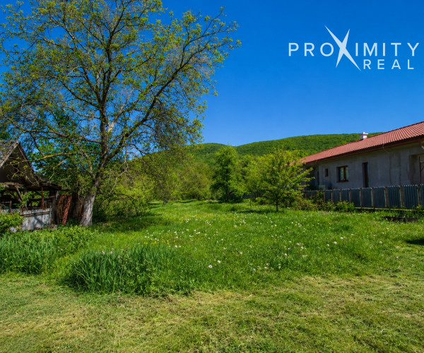Rodinný dom s pozemkom 1 846 m² a skvelým potenciálom - Skároš